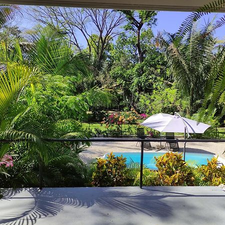House In The Palm Forest Puerto Carrillo Exterior foto